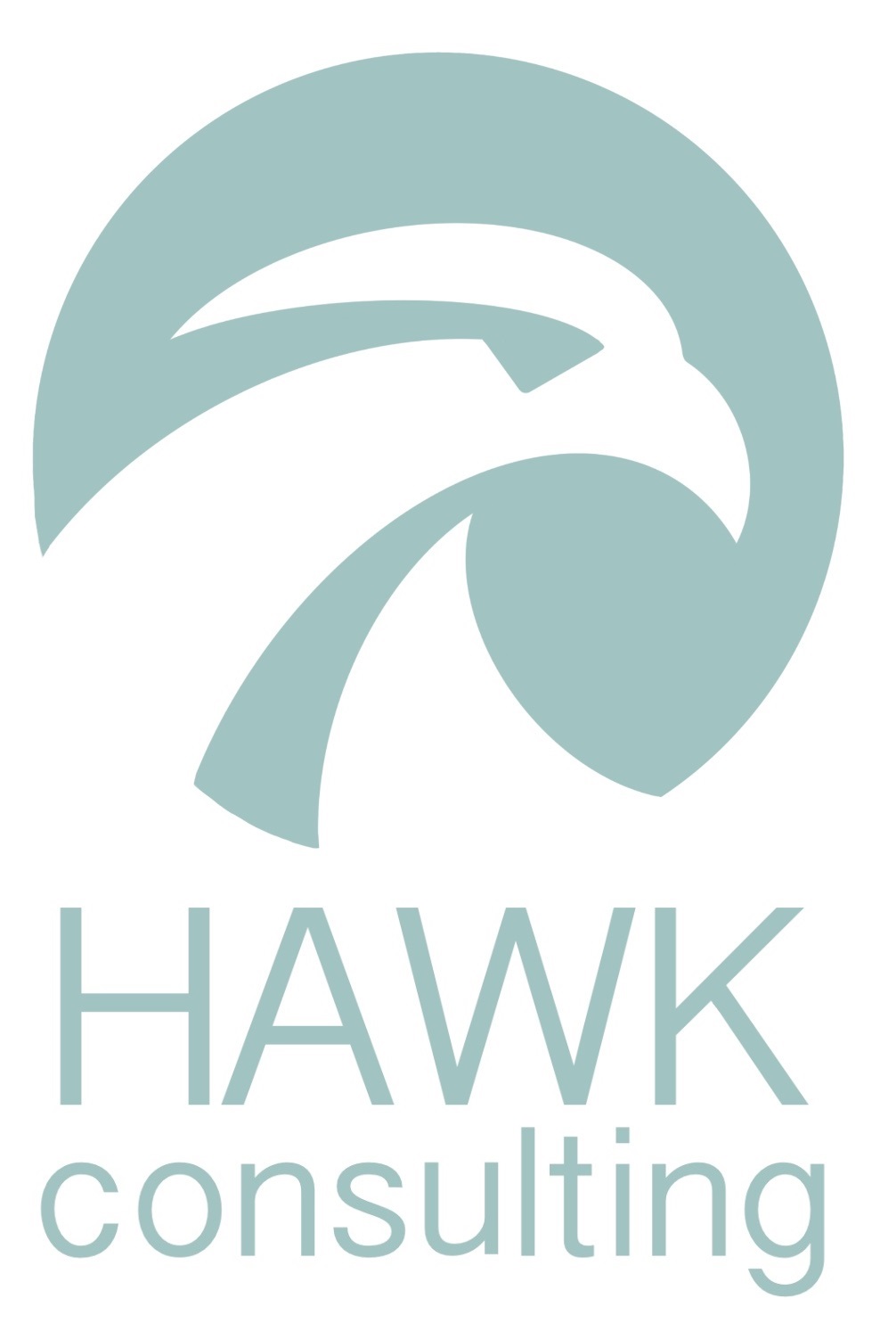 Hawk Consulting